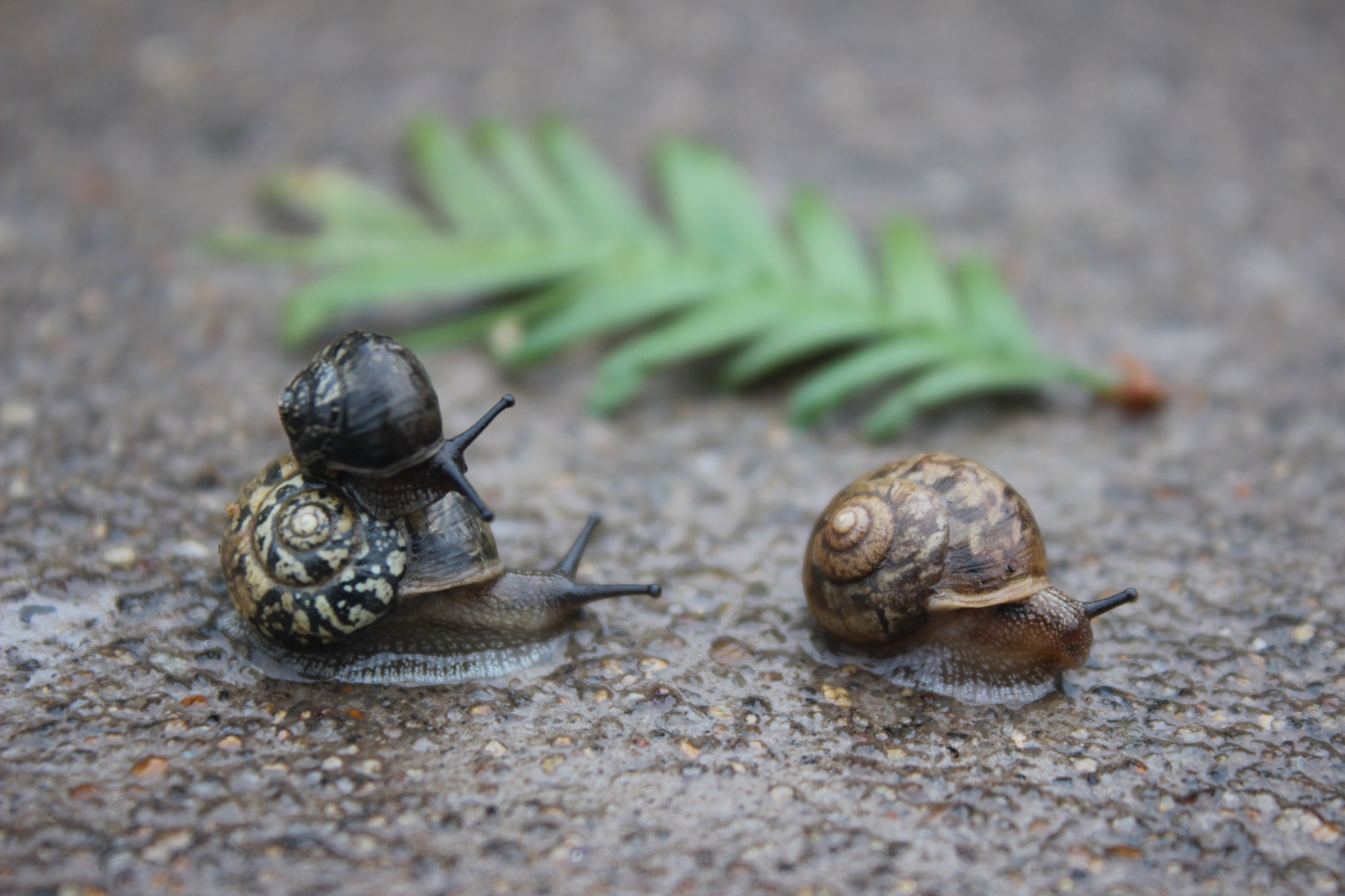 【攝影】爸爸，去哪？